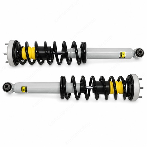Federbein komplett hinten - 2x,